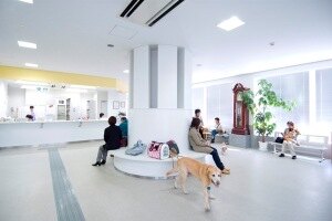 Veterinary hospital waiting area